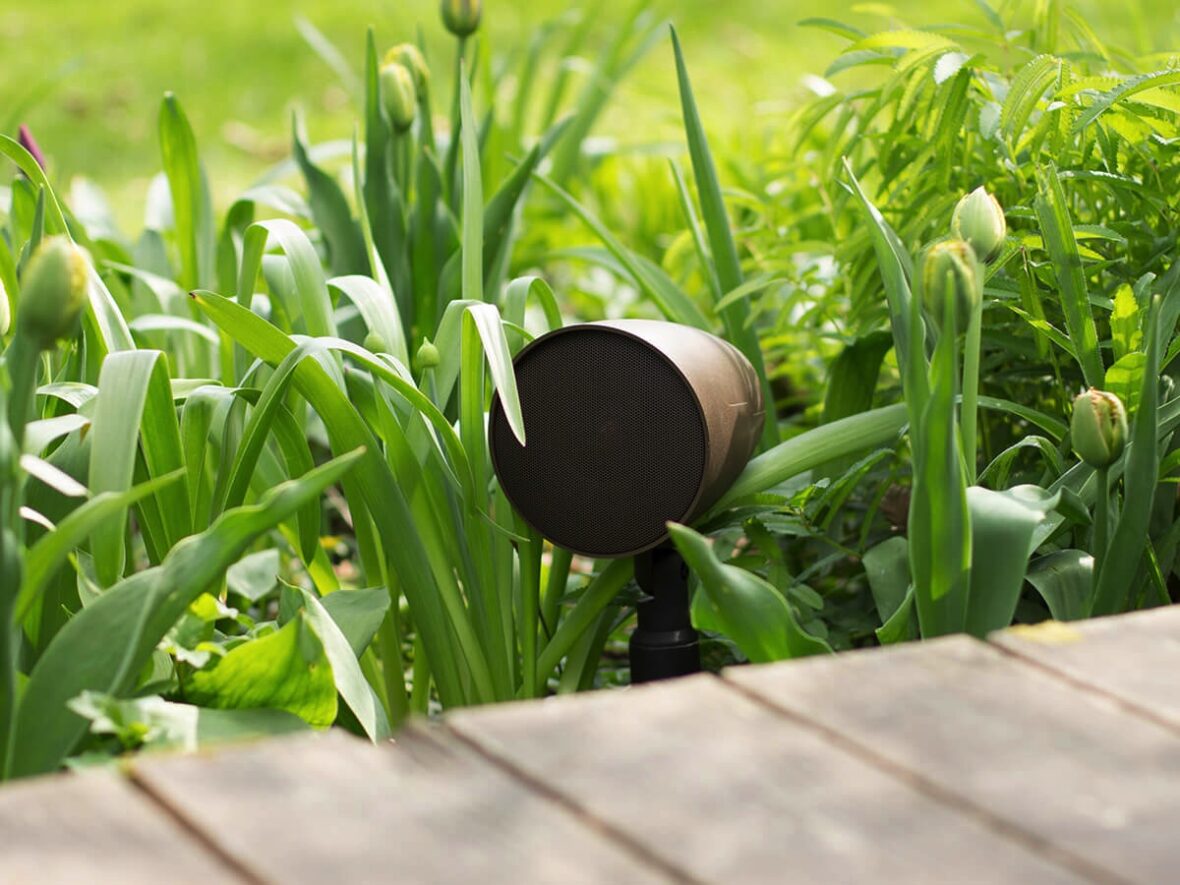 Outdoor Coastal speaker placed by walking in tall green grass